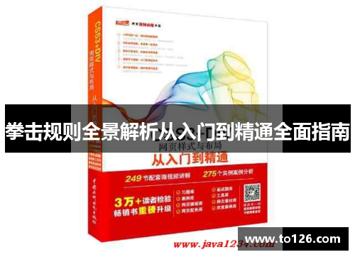 拳击规则全景解析从入门到精通全面指南